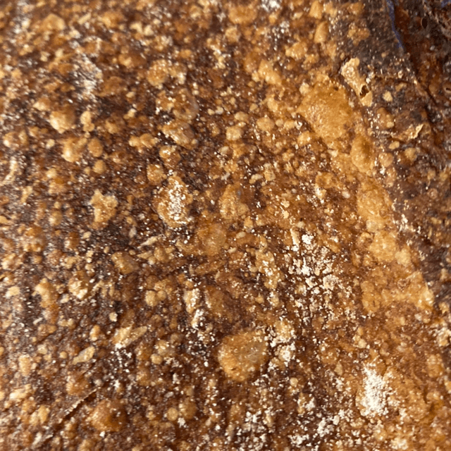 Sourdough Country Loaf
